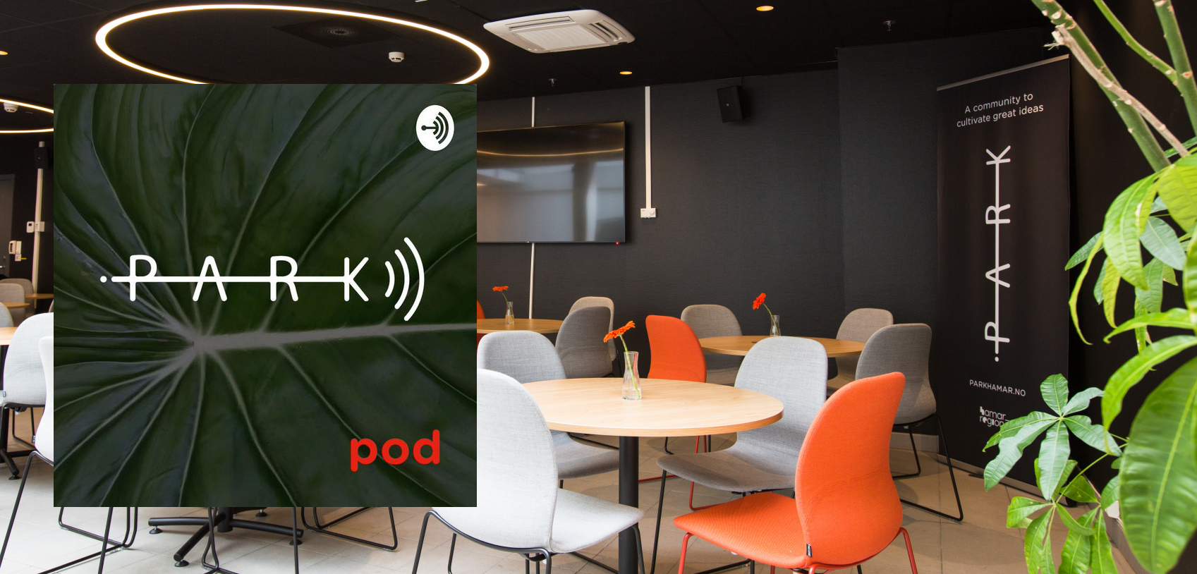 Nye episoder av PARK pod